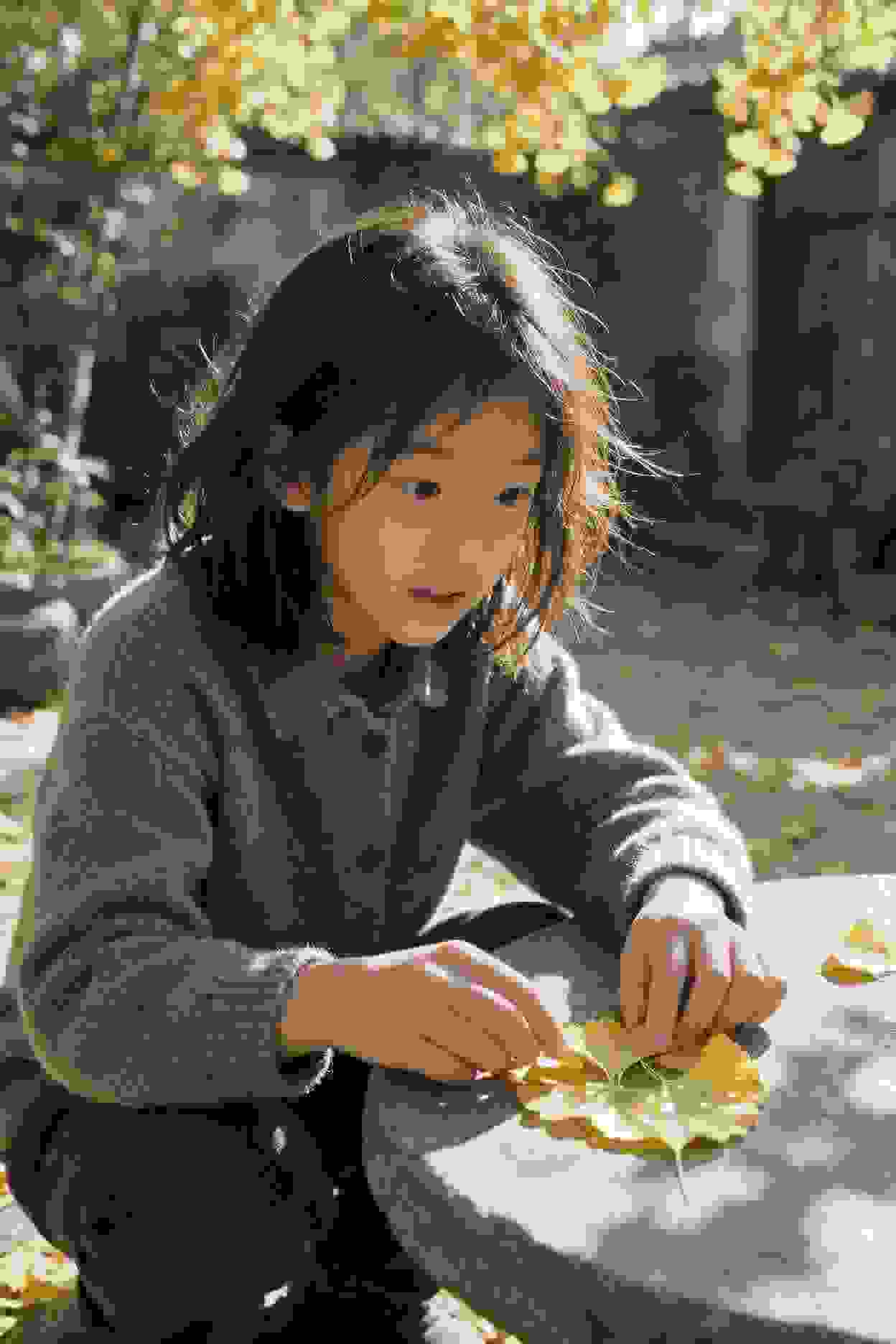 江山如画